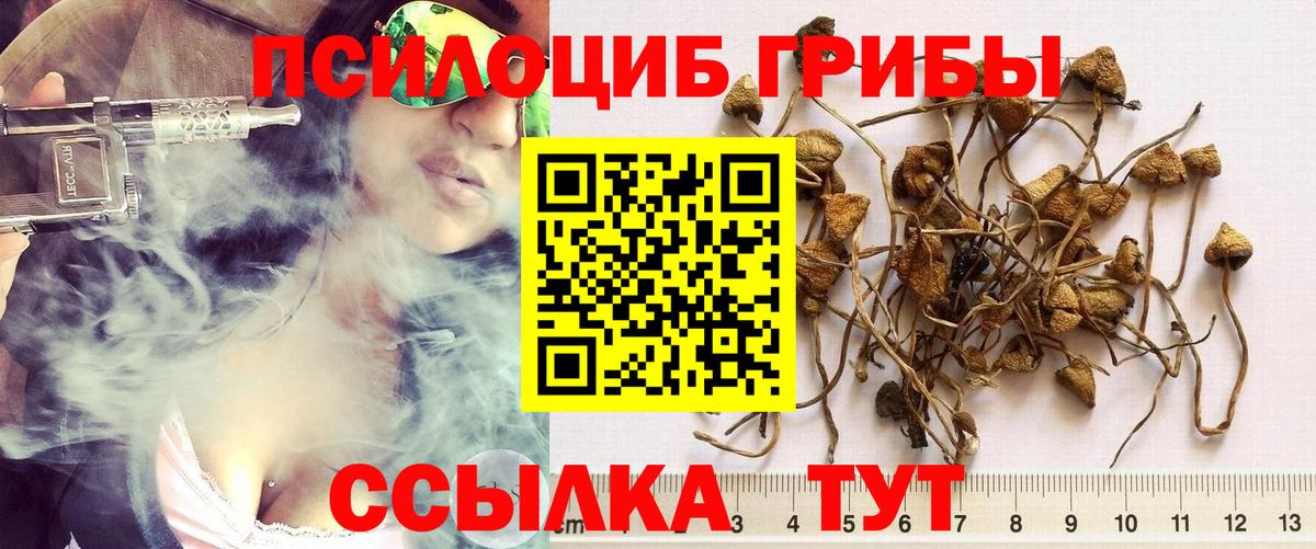 Псилоцибиновые грибы GOLDEN TEACHER  Вход с VPN  Псилоцибиновые грибы GOLDEN TEACHER  Артём 